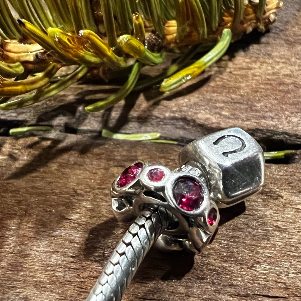 New Chamilia Swarovski Crystals Charm Birthstone Jewels Red Ruby July Birthday